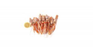 Shrimps