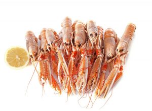 Scampis © cynoclub/fotolia