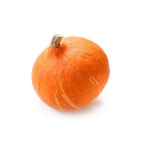Hokkaido Kürbis