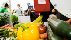 Viele Utensilien für die Tastboxen