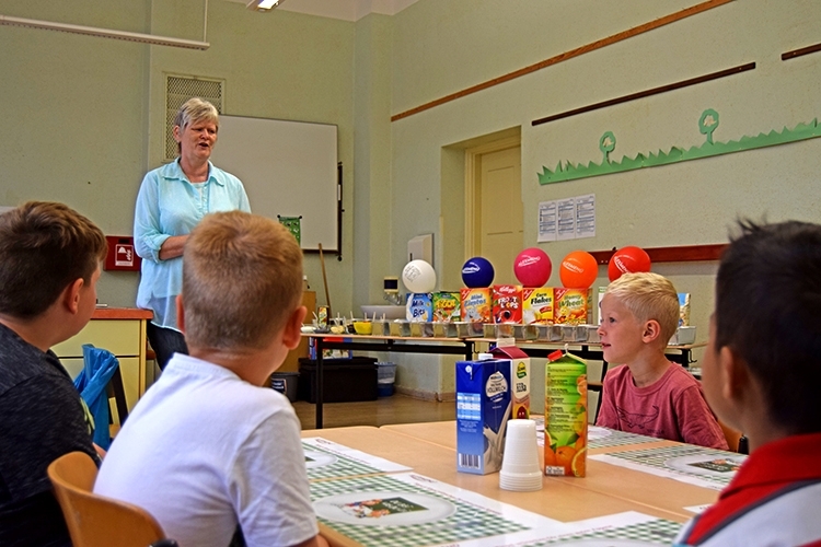 Eine kurze Erklärung, worum es bei dem Ernährungsprojekt