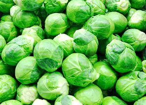Frischer Rosenkohl