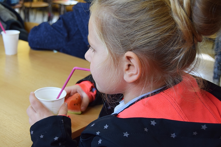 Die Smoothies und das Obst schmecken den Mitschülern
