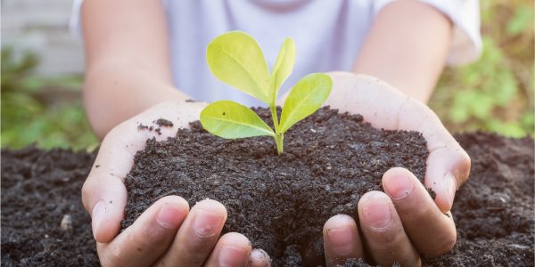Natürlich Düngen mit Küchenabfällen