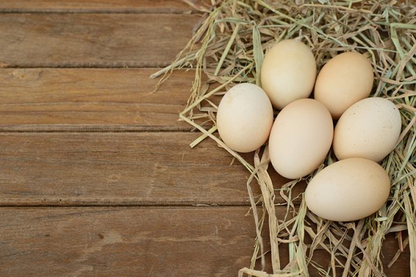 Vorsichtsmaßnahmen zur Verwendung von Eiern ©Tirachard/freepik