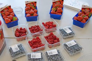 Im Topping werden frische Erdbeeren, Himbeeren und Heidelbeeren verarbeitet. ©ALEXMENÜ