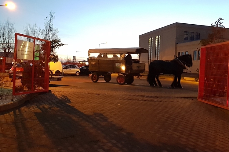 Wer Lust hat, kann an einer Kutschfahrt durch Rothensee teilnehmen.