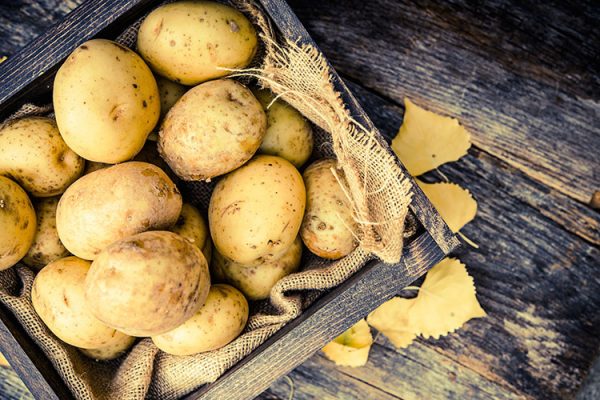 Kartoffeln eignen sich abhängig von ihrem Stärkegehalt für die Zubereitung unterschiedlicher Gerichte. ©welcomia/freepik