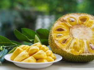 Jackfruit-Jackfrucht