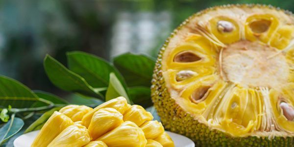 Jackfruit-Jackfrucht