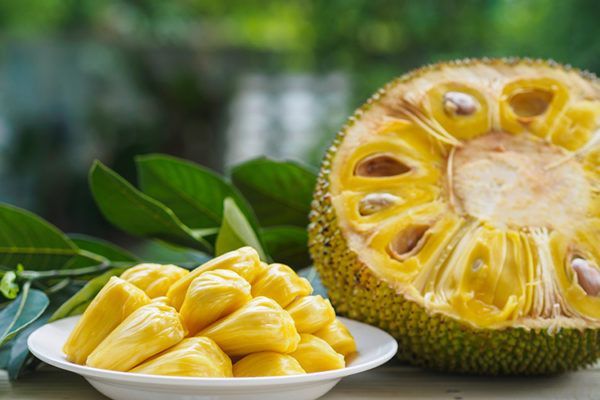 Jackfruit-Jackfrucht