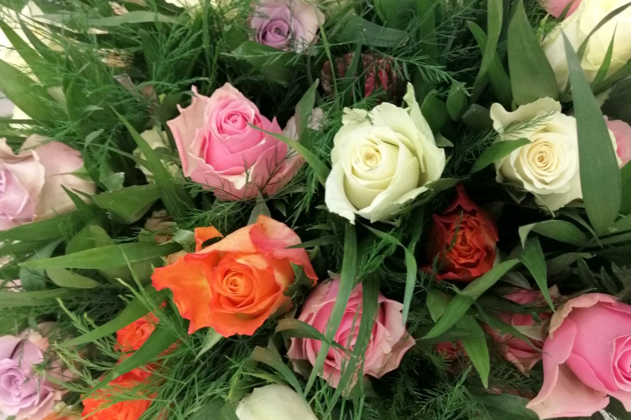 Alles Liebe zum Frauentag! ©Stefanie Ledderboge/ALEXMENÜ