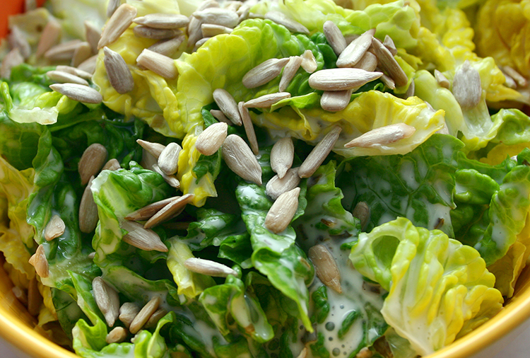 Grüner Salat mit Zitronen-Buttermilch-Dressing und Sonnenblumenkerne