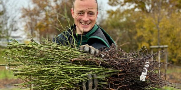 ALEXMENÜ pflanzt 1200 Pflanzen mit Otto pflanzt